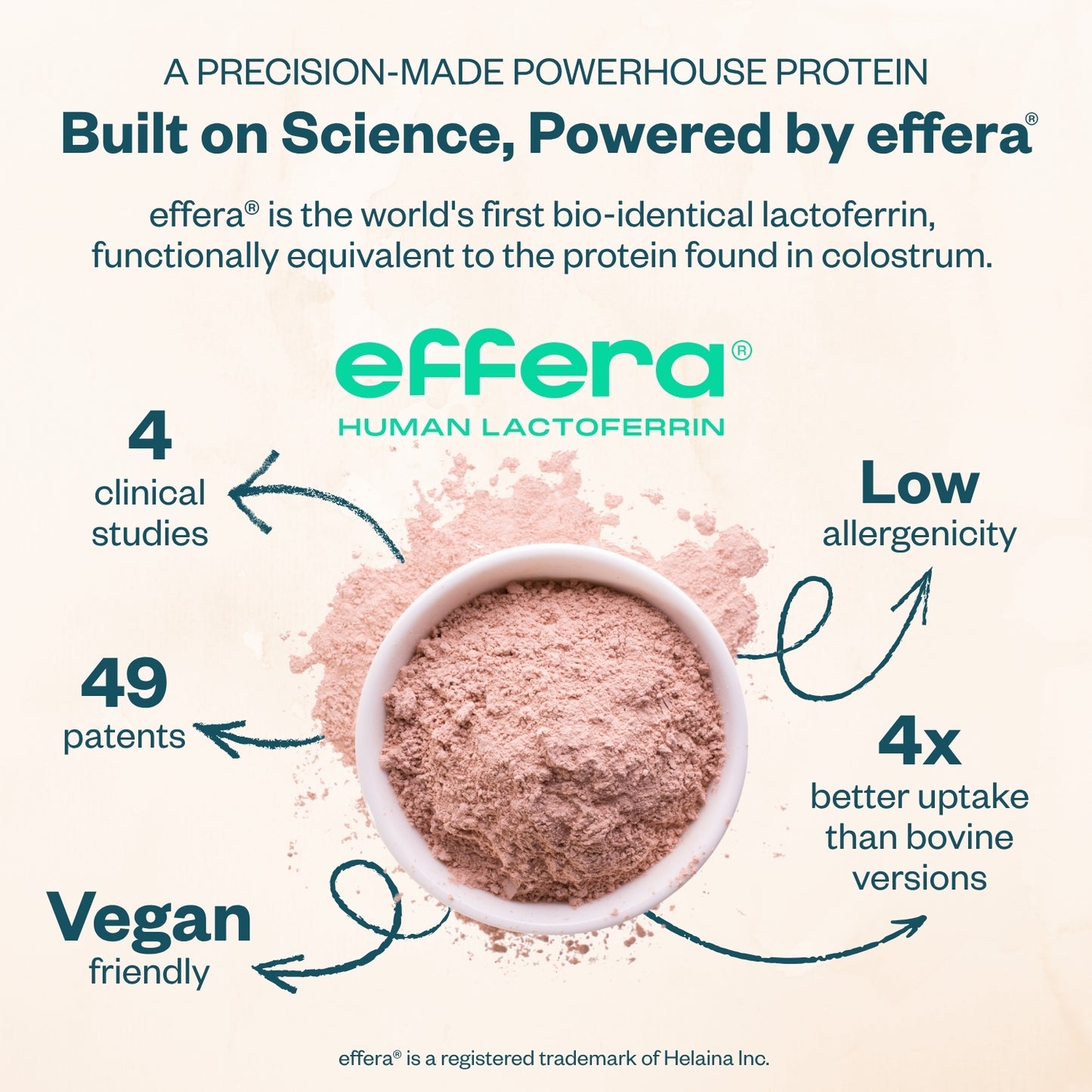 Graphic about effera human lactoferrin with text highlighting its features.