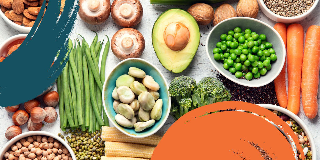 Various plant based ingredients - Levelle Nutrition