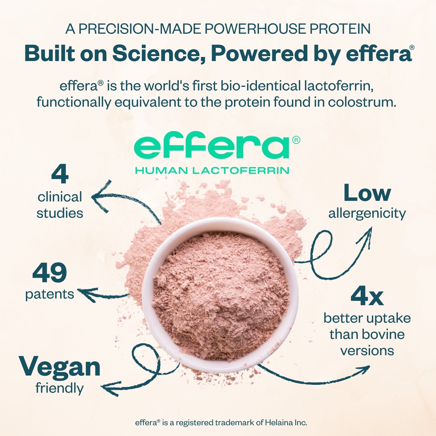 Graphic about effera human lactoferrin with text highlighting its features.